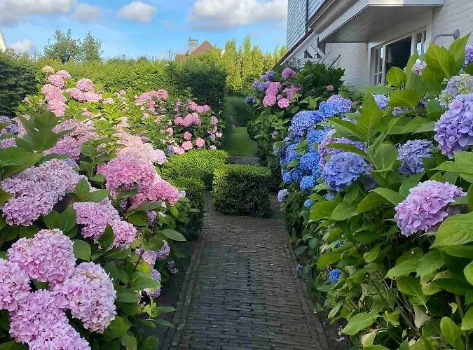 Vakantiehuis Superb In The Heart Of Zoute Close To The And Shopping Area *