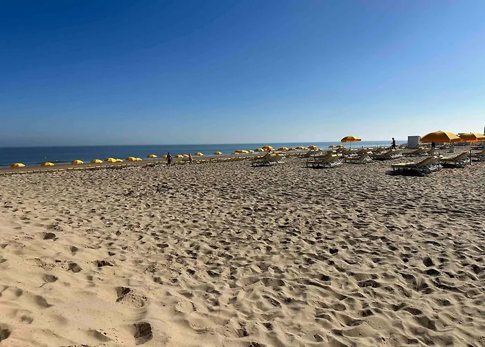 Vakantiehuis Superb In The Heart Of Zoute Close To The And Shopping Area Knokke-Heist