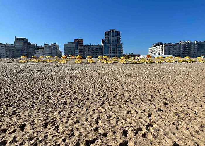 Superb In The Heart Of Zoute Close To The And Shopping Area Vakantiehuis *